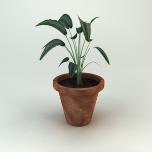 3d plant potted