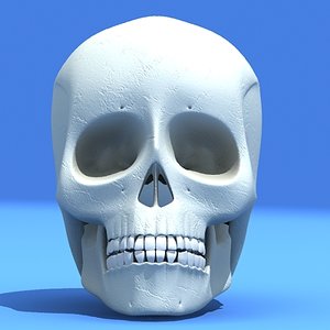 human skull 3d max