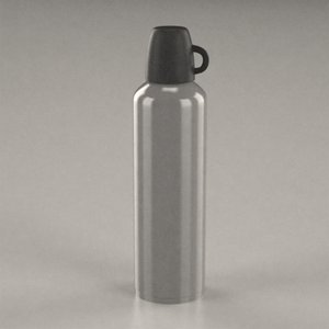 3ds termo bottle
