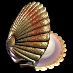 D shell. 3ds Max Ракушка Устрица. Ракушка 3д модель. Ракушки фасонов. Ракушка для 3d-принтеров.