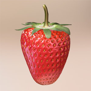 strawberries fruit 3d model