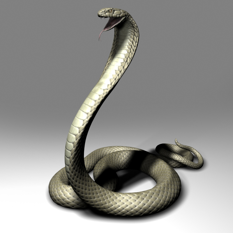 king cobra 3d max