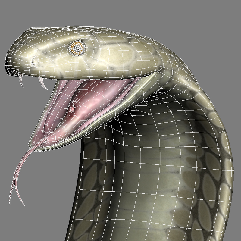 king cobra 3d max