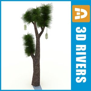 3d model yucca-filifera island warm
