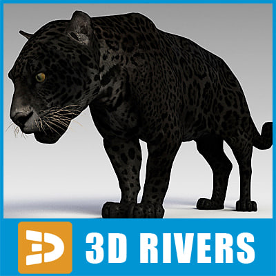  panther  cats  3d  model 
