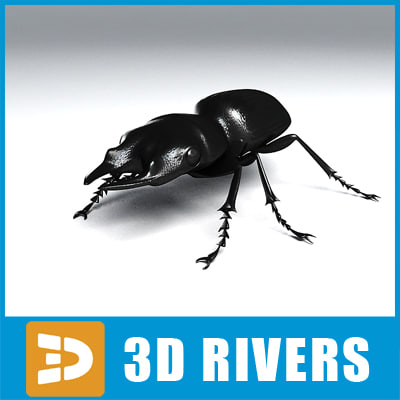 3d ground beetle insect