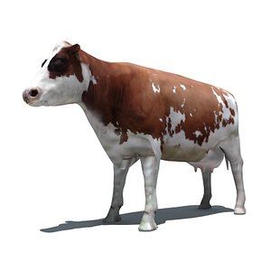 cow 3d 3ds