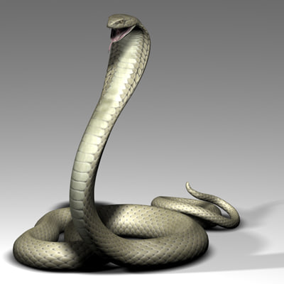 3d model king cobra