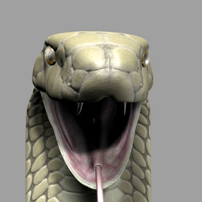 3d model king cobra