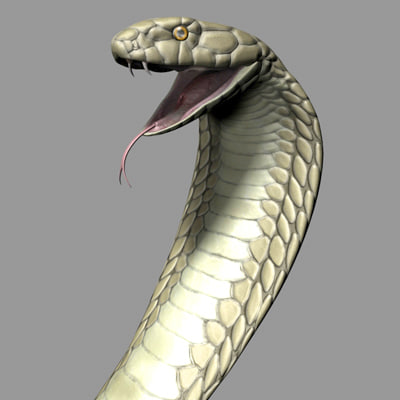 3d model king cobra