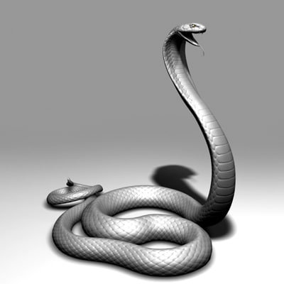 3d model king cobra