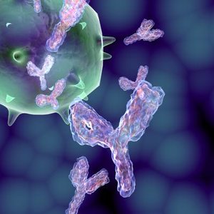 antibodies realistic biological 3d model