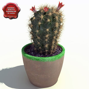 cactus echinopsis eyriesii 3d 3ds