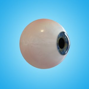 3d model eye ball