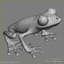 3d model frog amphibian