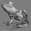 3d model frog amphibian