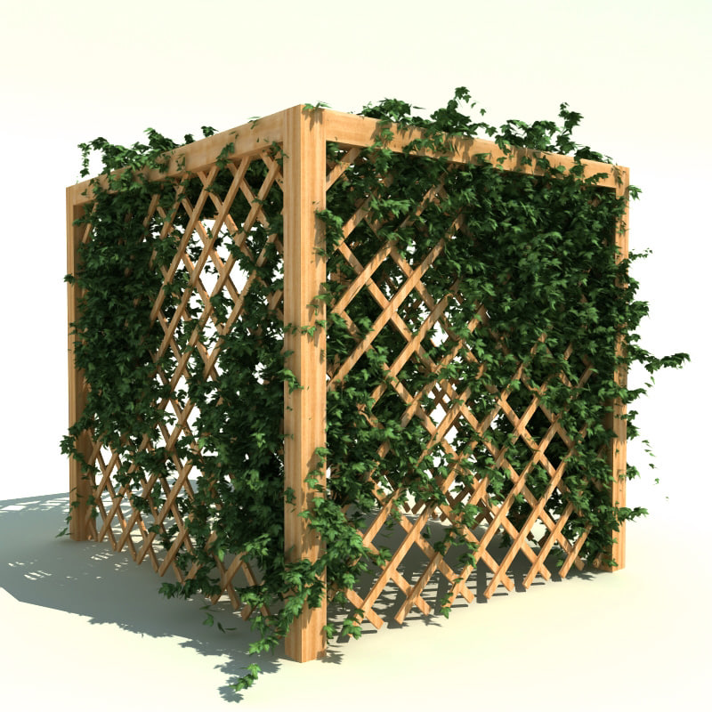 garden pergola ivy 3ds