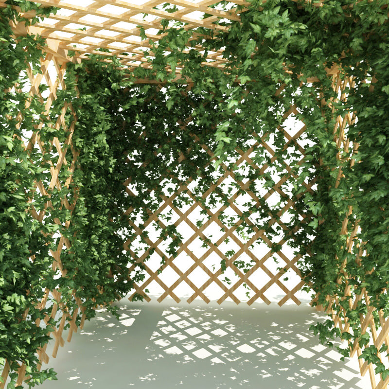 garden pergola ivy 3ds