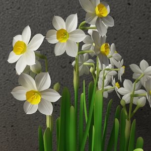 contemporary flower 3d model