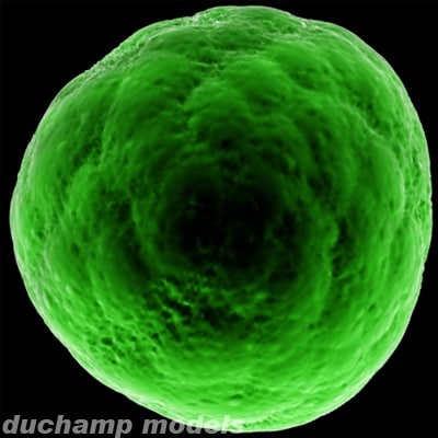 micro cells 3d 3ds