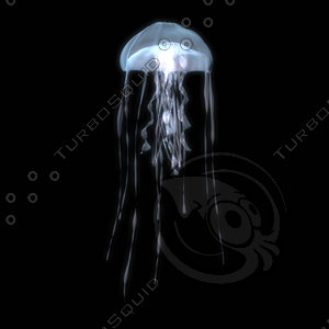 3d model of jellyfish