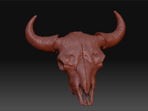 bison skull 3d obj