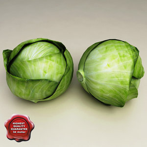 3d model cabbage modelled