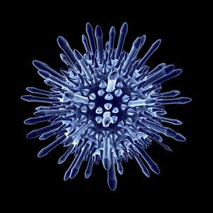 3d adenovirus science