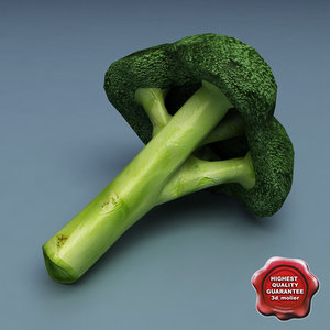 3ds broccoli modelled