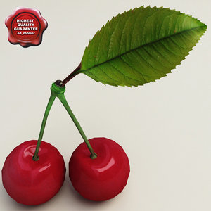 cherry modelled 3ds