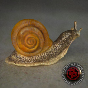 snail 3d model