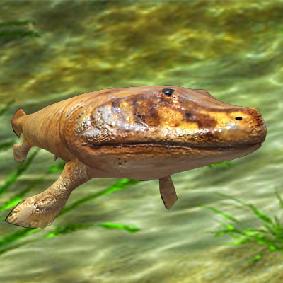 maya tiktaalik prehistoric fish