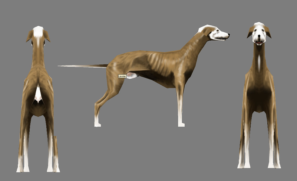 dog 3d model