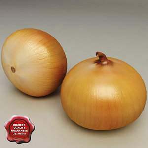 3d model of onion modelled