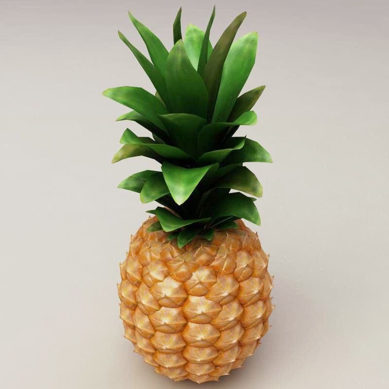 菠萝3d模型