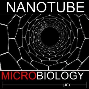 maya carbon nanotubes tubes