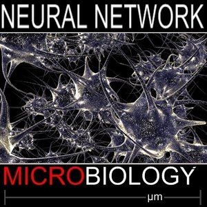 neural network 3d model