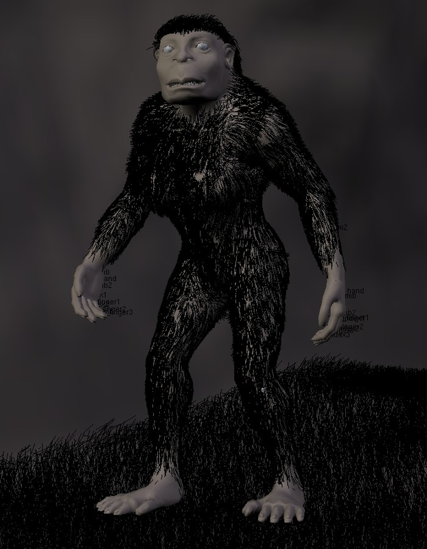3d model lucy australopithecus