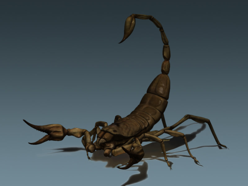 best zbrush material for scorpion