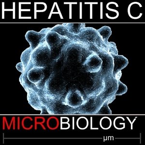 hepatitis c 3d model