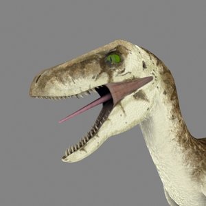 3d model raptor dinosaur