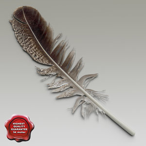 bird feather v1 3d model