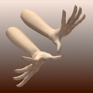 rigged female hands 3d model
