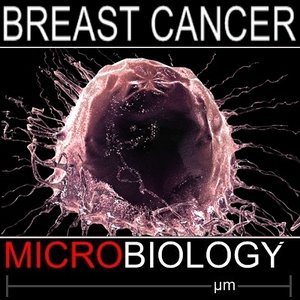breast cancer cell 3d c4d