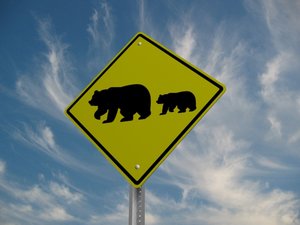 3d model bear crossing sign