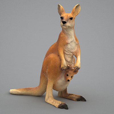 kangaroo 3d model