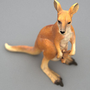 kangaroo 3d model