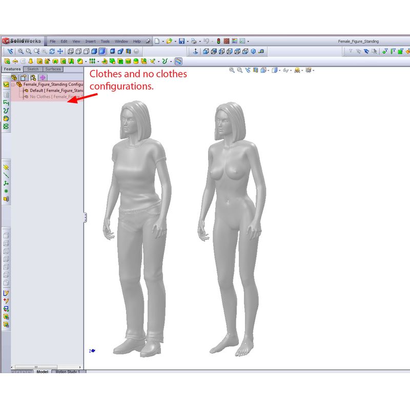 Human Solidworks Design Modello 3D Solidworks CAD Human Female - TurboSquid 495231