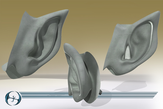 耳朵(5个装)3d模型