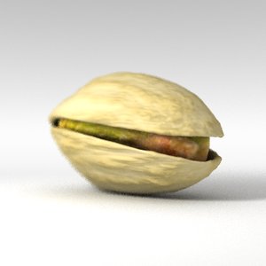 3d model pistachio nut